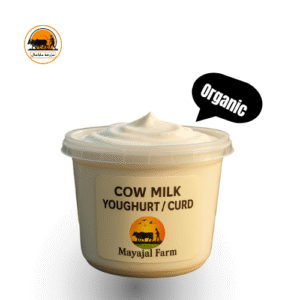 Cow Milk Yohgurt / Curd