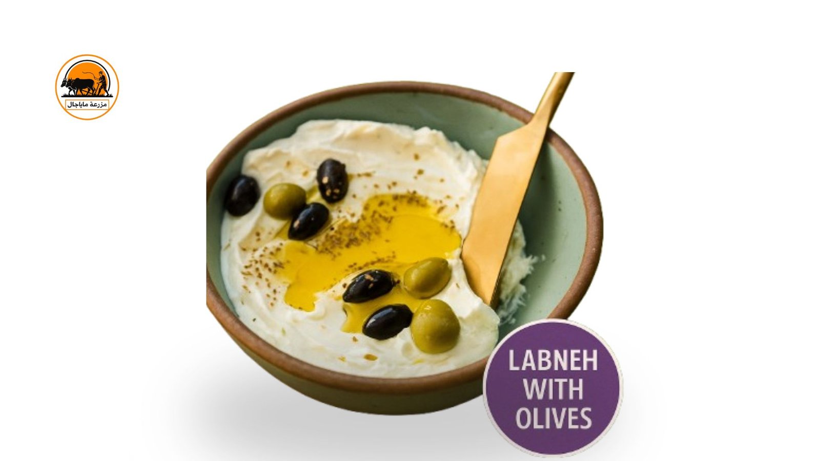 Labneh with Olives - Fresh Arabic Cheese | Mayajal Farm Dubai